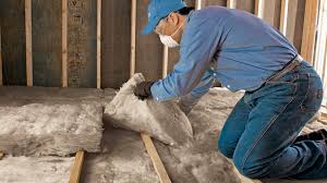 Best Basement Insulation  in Braska City, NE